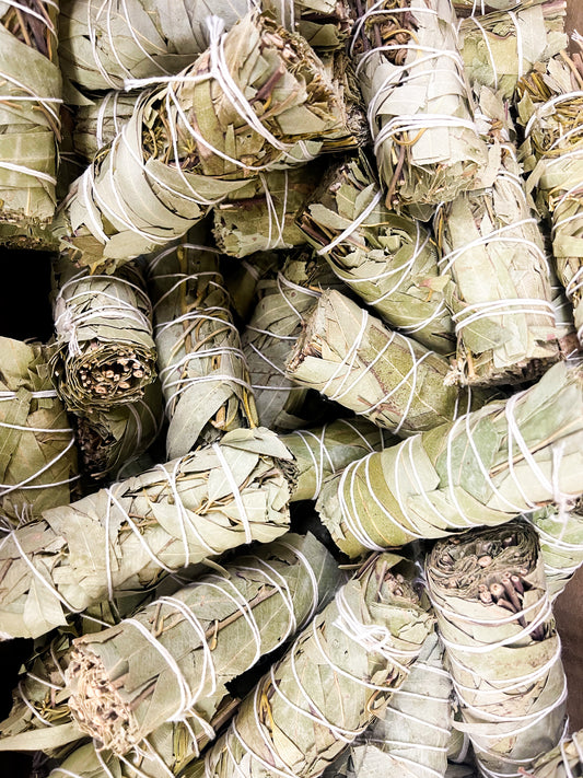 Eucalyptus Sage